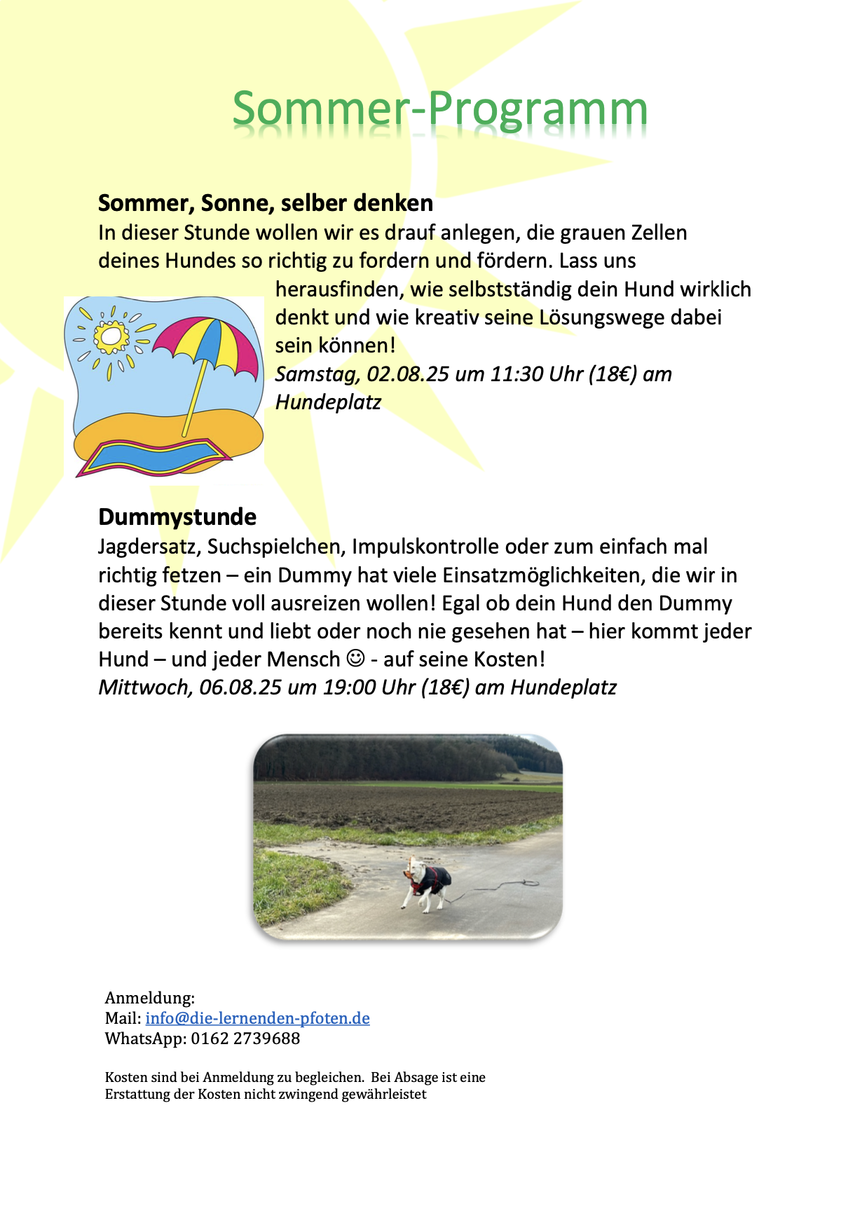 Sommerprogramm 1 25