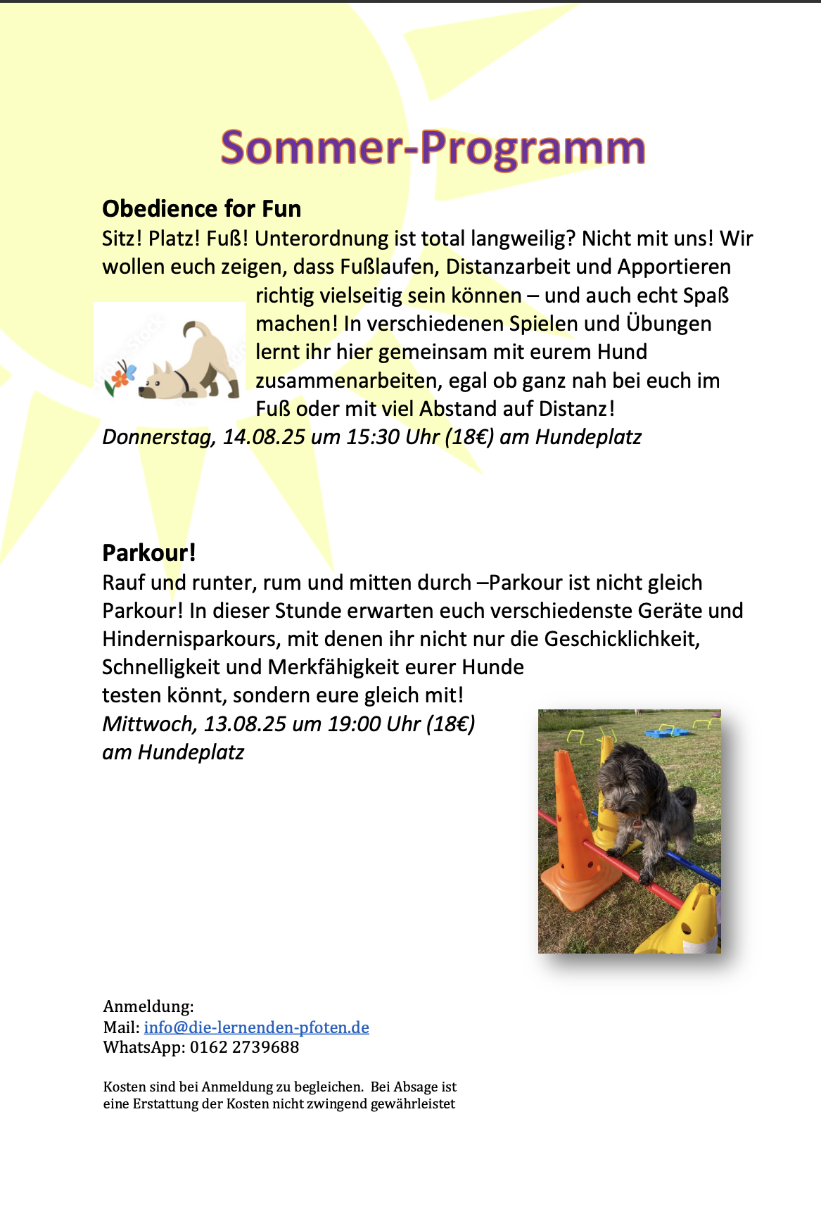 Sommerprogramm 2 25