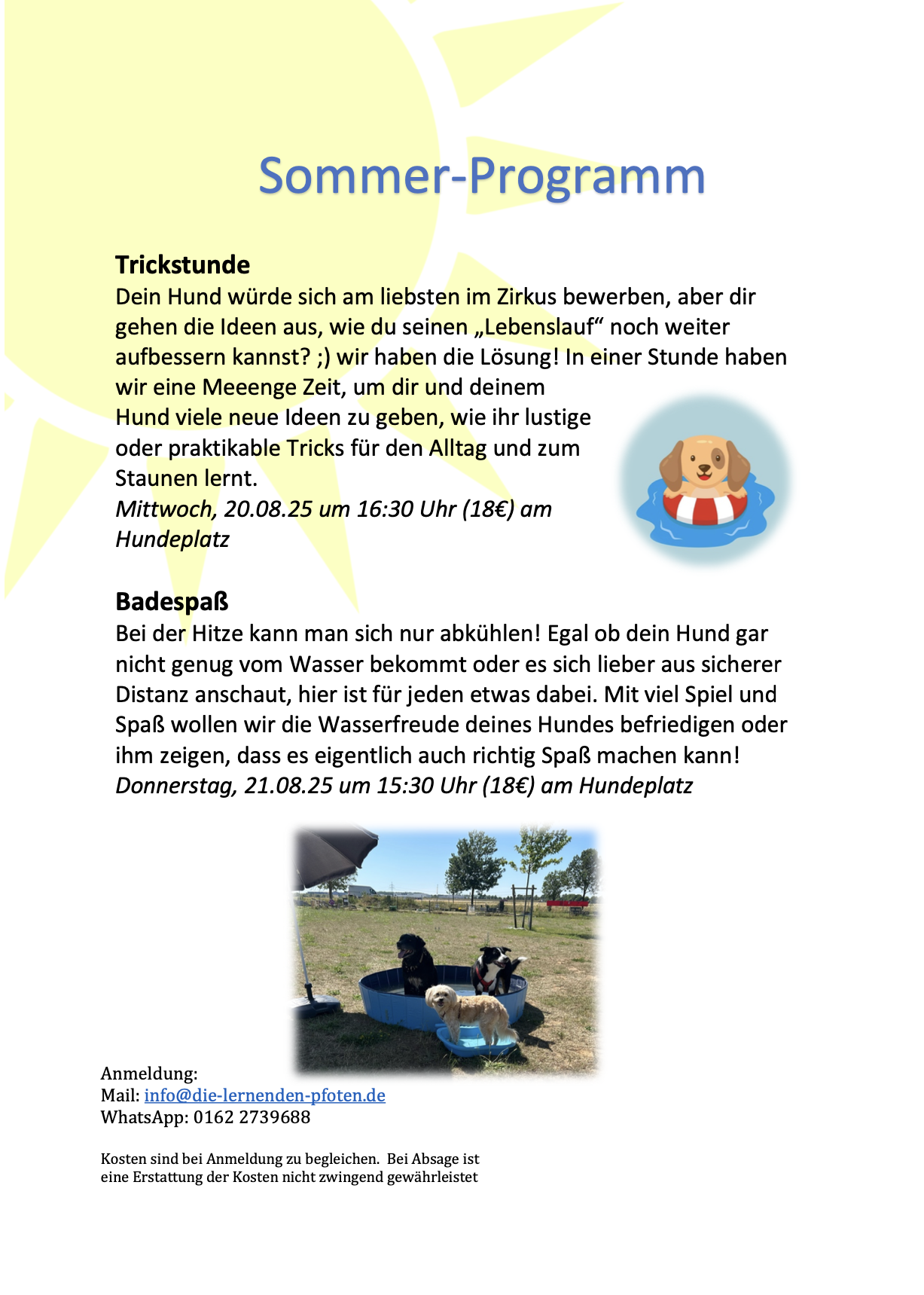 Sommerprogramm 3 25